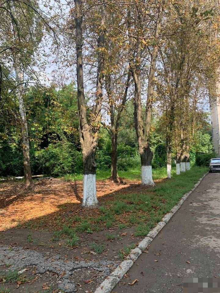 4-к. квартира, 77,8 м², 5/5 эт. (545806) 4-к. квартира, 77,8 м², 5/5 эт. (545806)