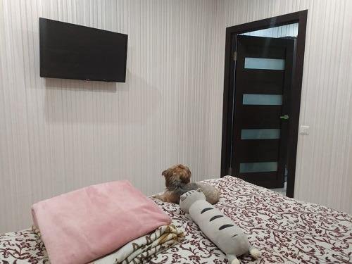 Квартира, 3 комнаты, 65 м² (551360) Квартира, 3 комнаты, 65 м² (551360)